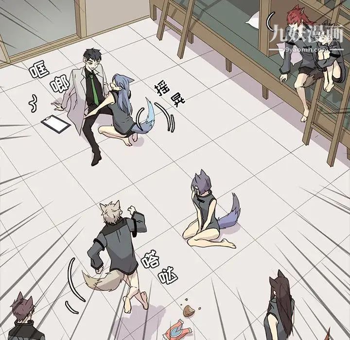 野性之城第104话