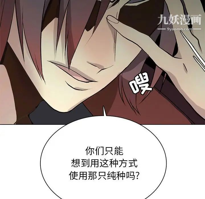 野性之城第117话