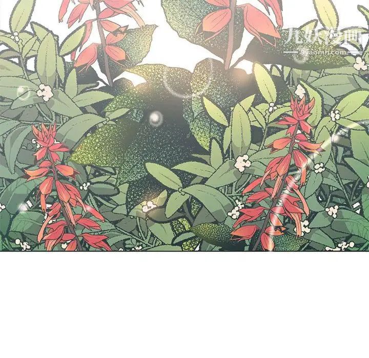 野性之城第125话