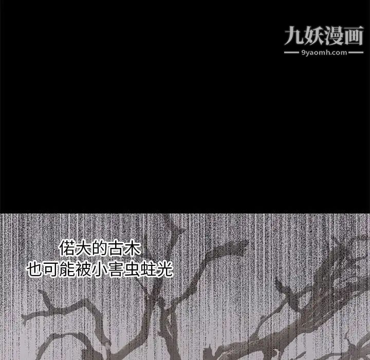 上流社会的女人第15话