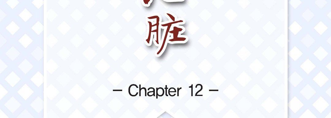 献给心脏第12话