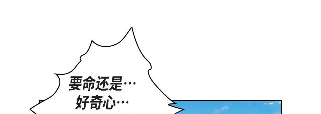 献给心脏第17话