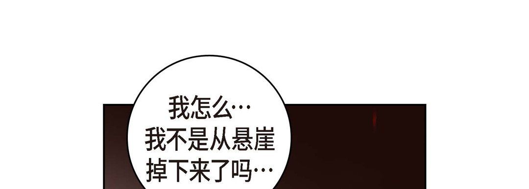 献给心脏第19话