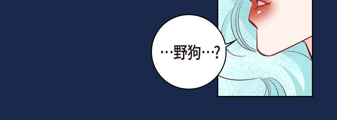 献给心脏第28话