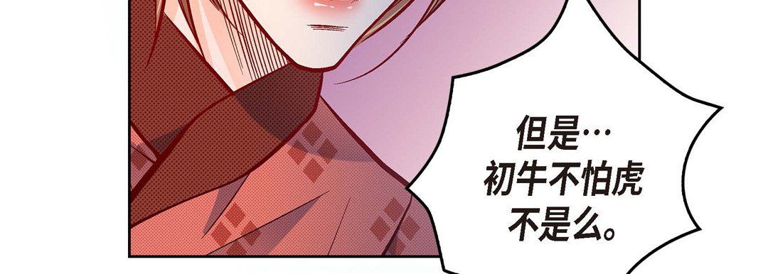 献给心脏第29话