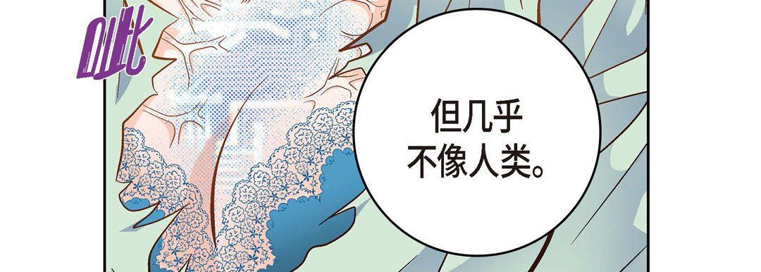 献给心脏第35话