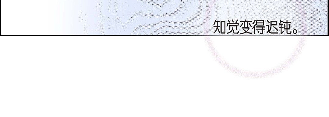 献给心脏第37话