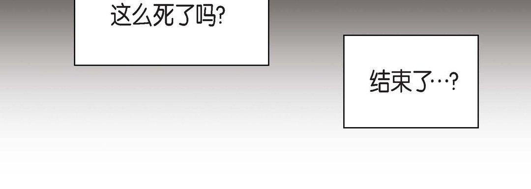 献给心脏第37话