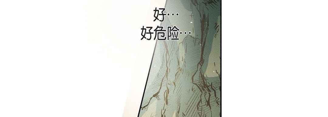 献给心脏第42话