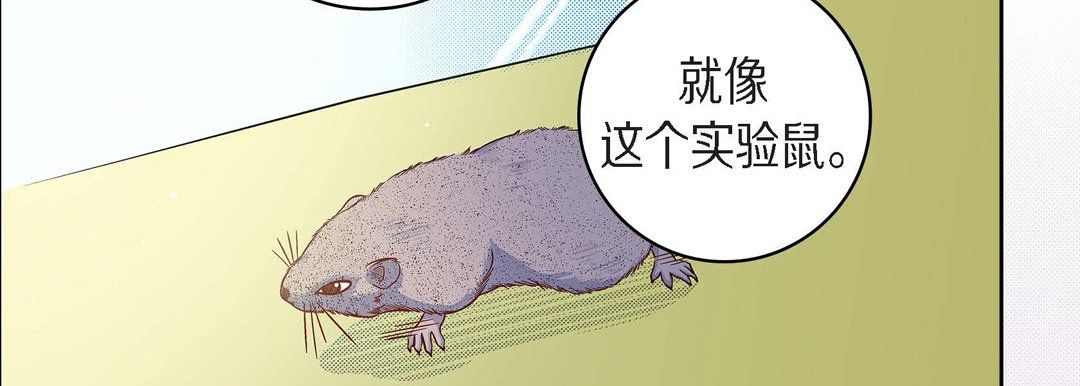 献给心脏第45话