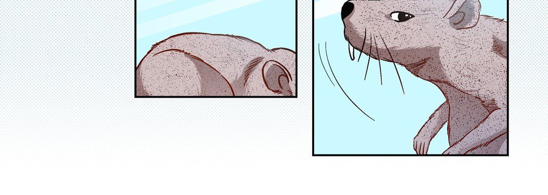 献给心脏第45话