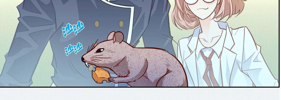 献给心脏第45话