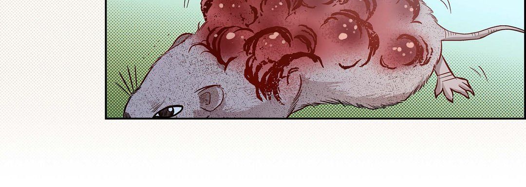 献给心脏第45话