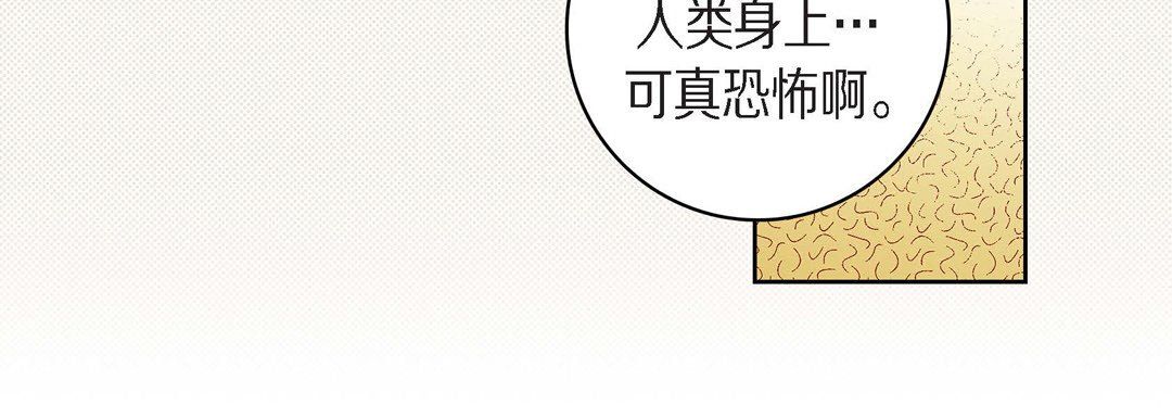 献给心脏第45话