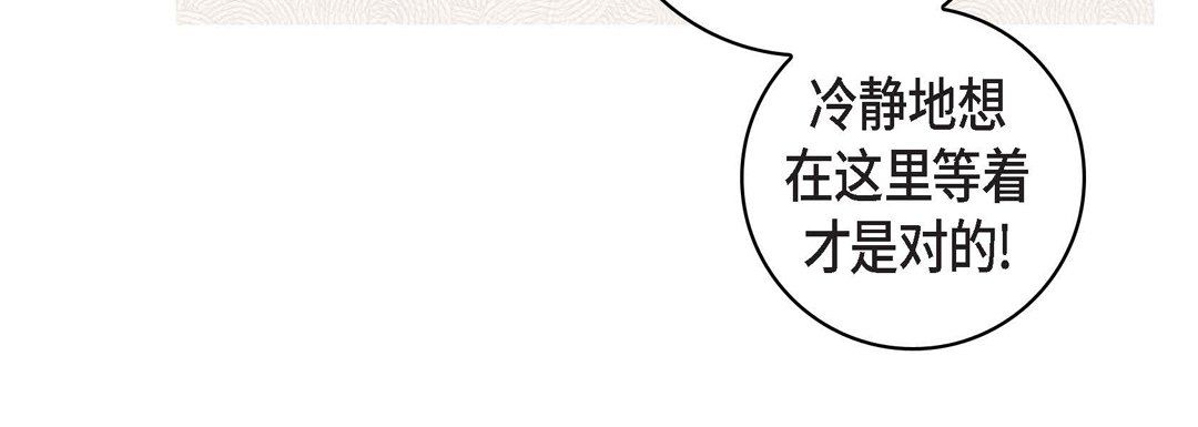 献给心脏第47话