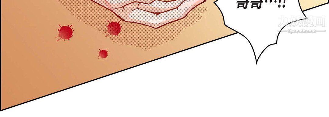 献给心脏第50话