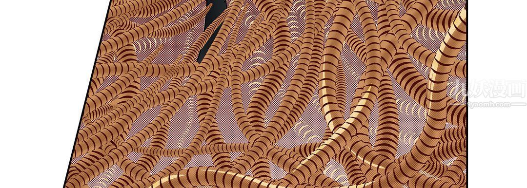 献给心脏第56话