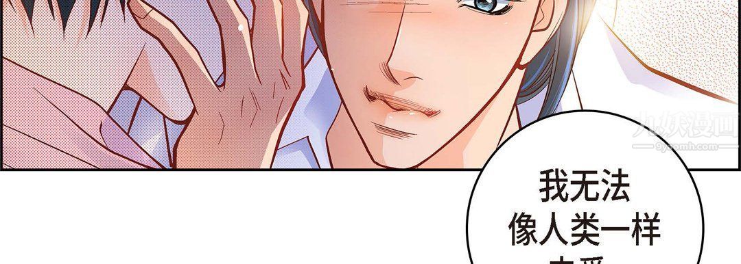 献给心脏第62话