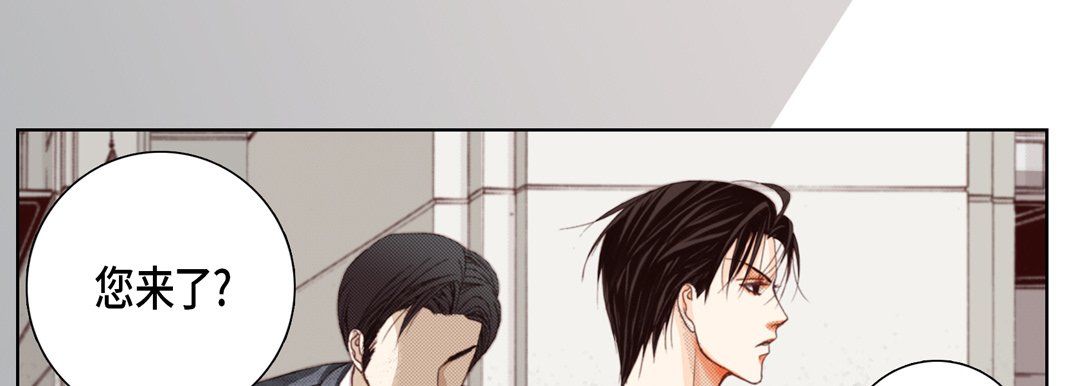 完美无缺的虏获第12话