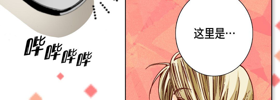 完美无缺的虏获第15话