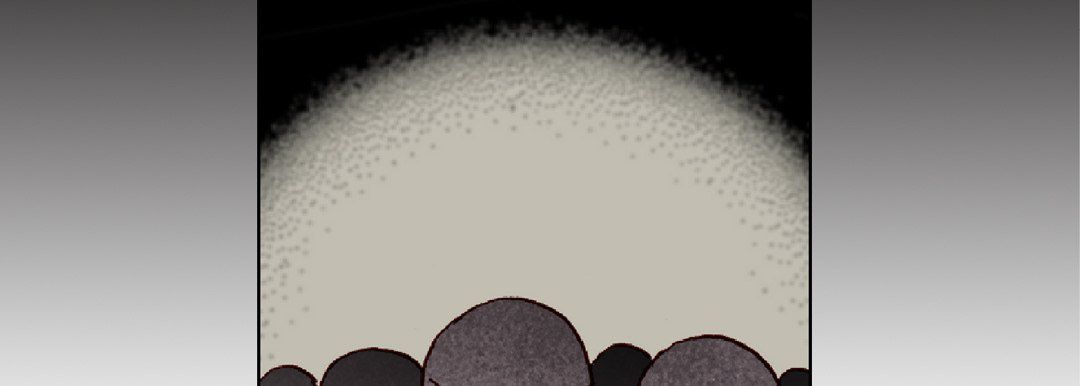 完美无缺的虏获第19话