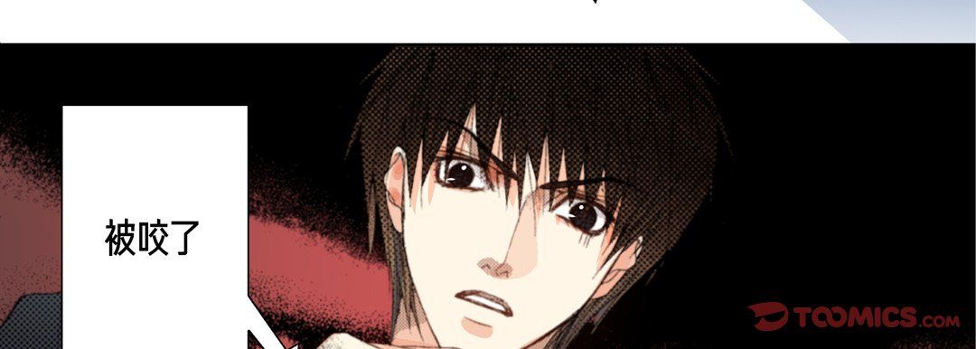 完美无缺的虏获第24话