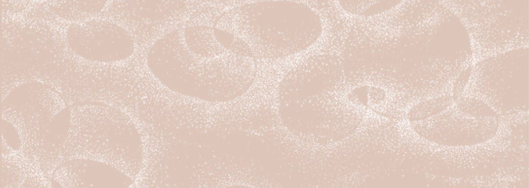 完美无缺的虏获第32话