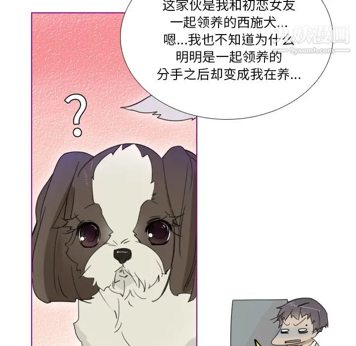 我的猫狗女友第1话