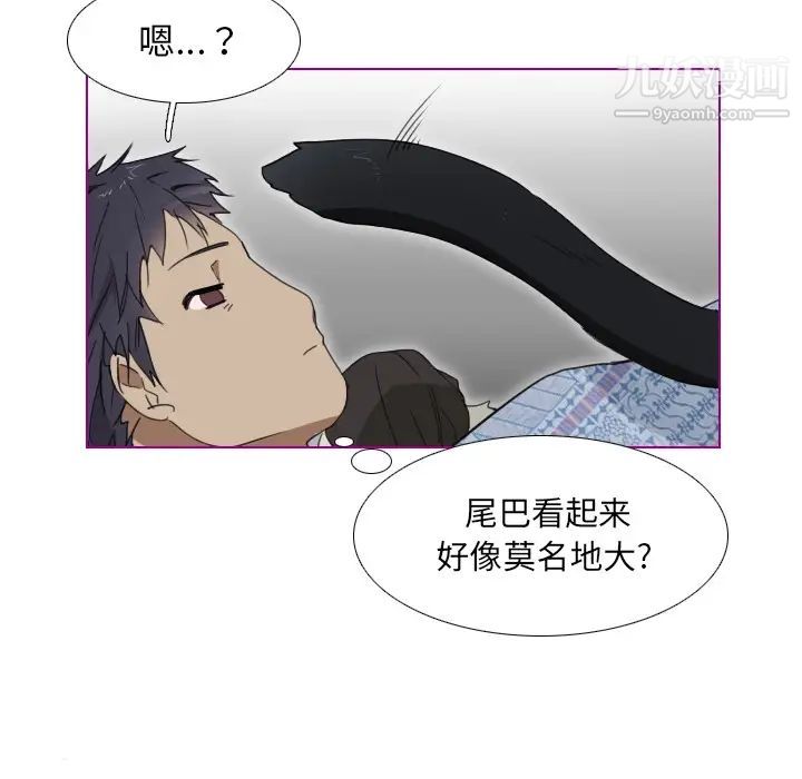 我的猫狗女友第1话