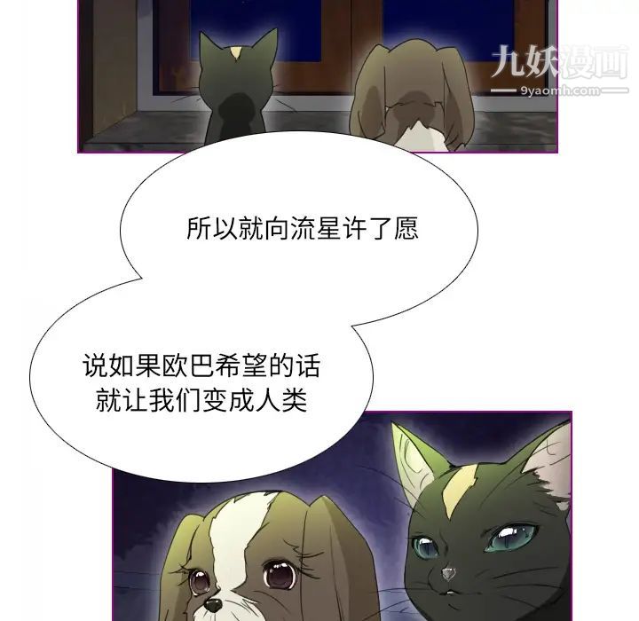 我的猫狗女友第2话