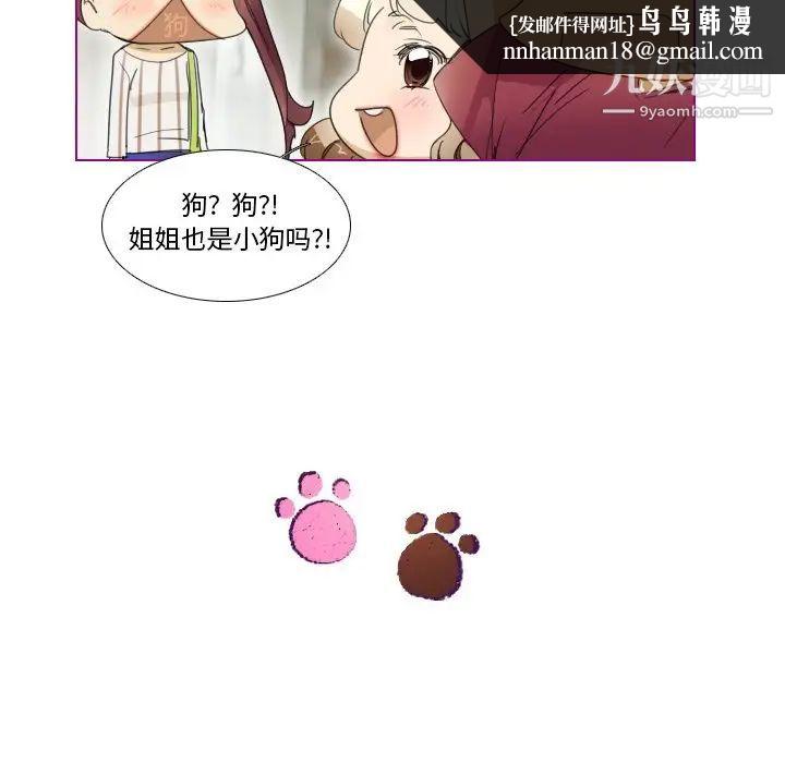 我的猫狗女友第5话