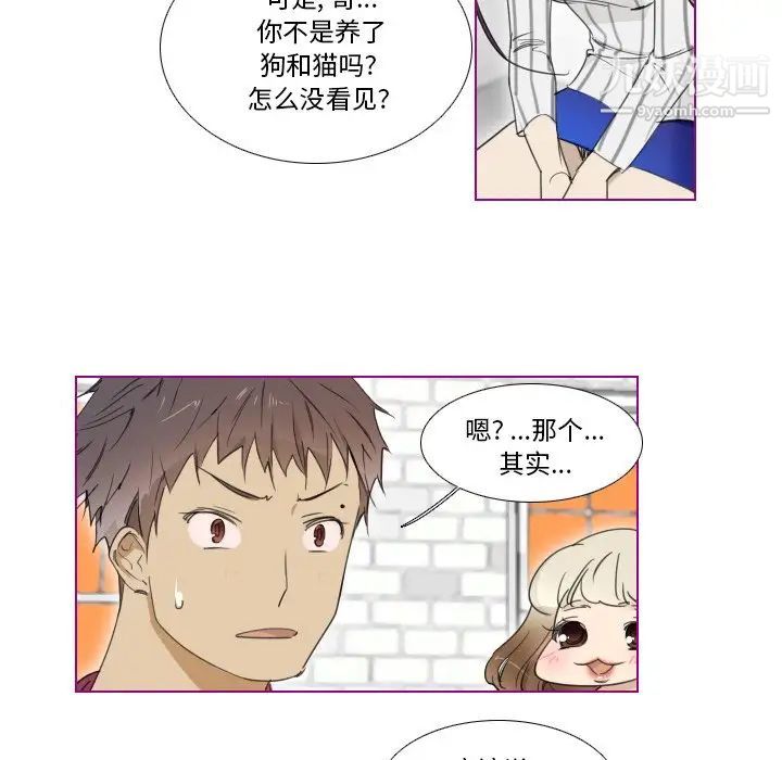 我的猫狗女友第5话