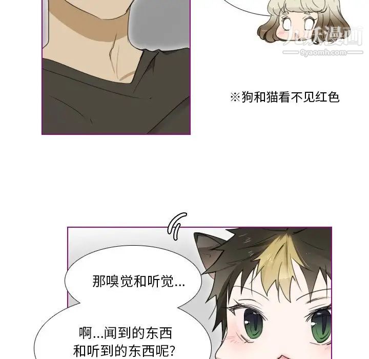 我的猫狗女友第6话