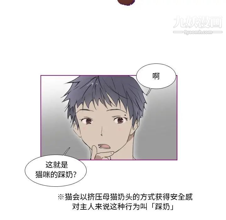 我的猫狗女友第8话