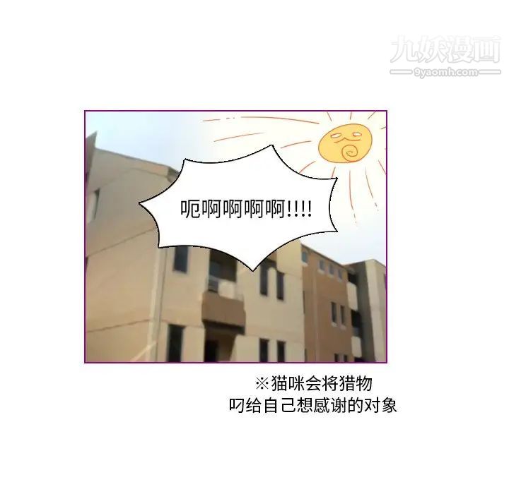 我的猫狗女友第9话