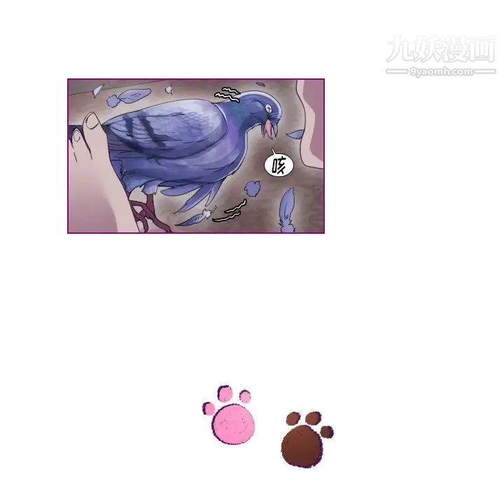 我的猫狗女友第9话