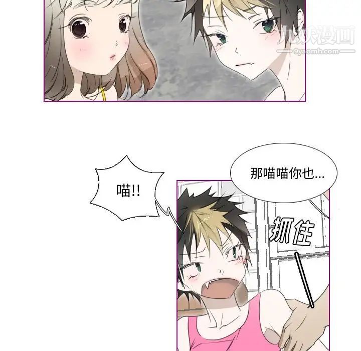 我的猫狗女友第10话