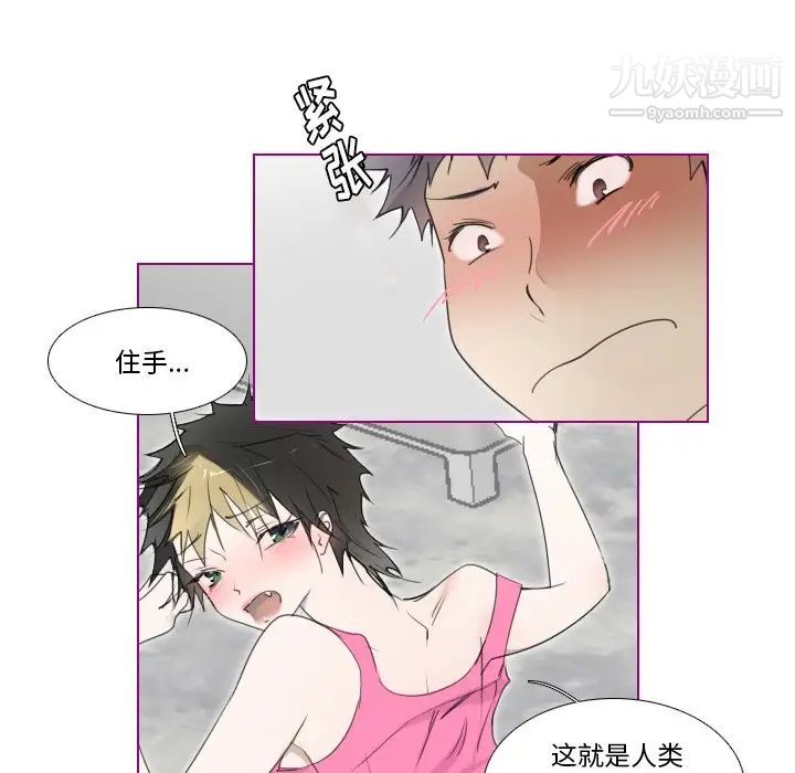 我的猫狗女友第10话