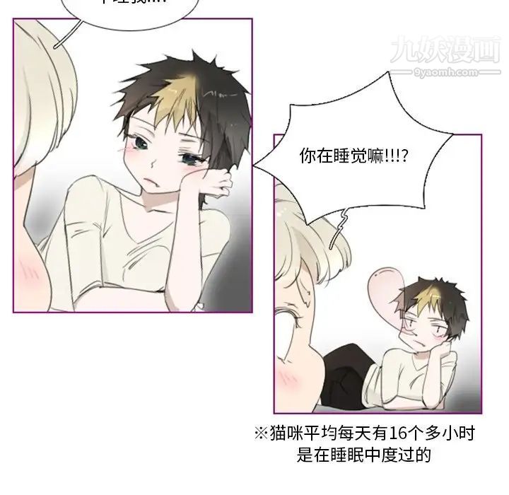 我的猫狗女友第11话