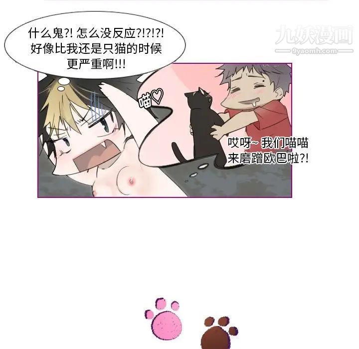 我的猫狗女友第11话