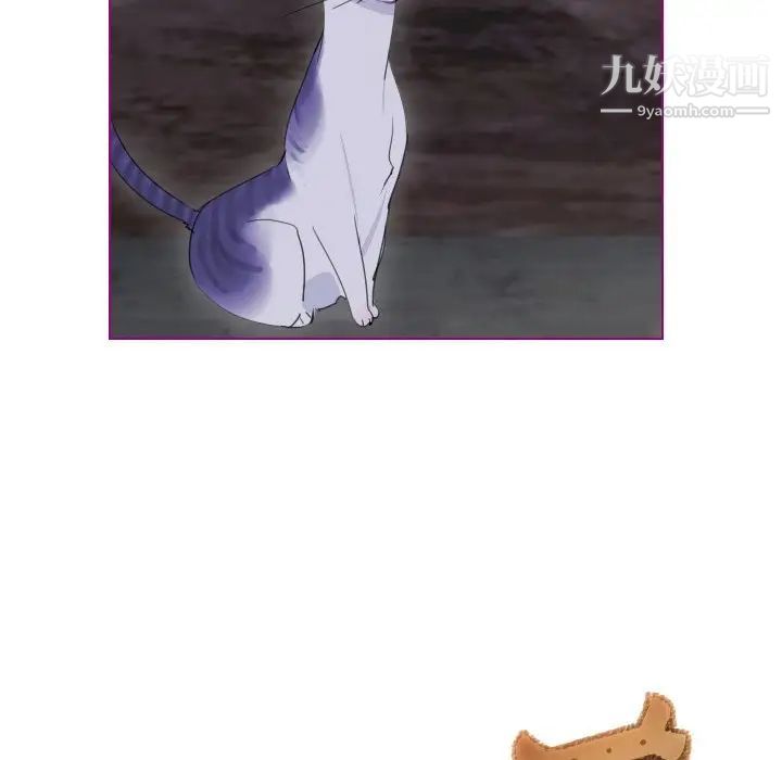 我的猫狗女友第12话