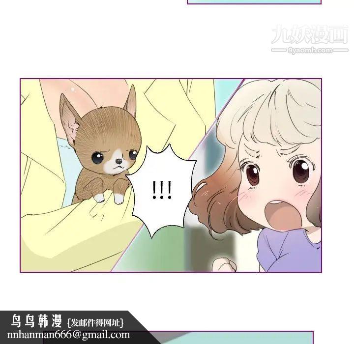 我的猫狗女友第13话