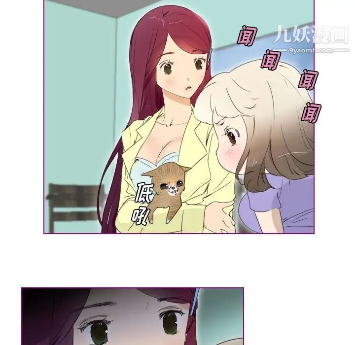 我的猫狗女友第13话