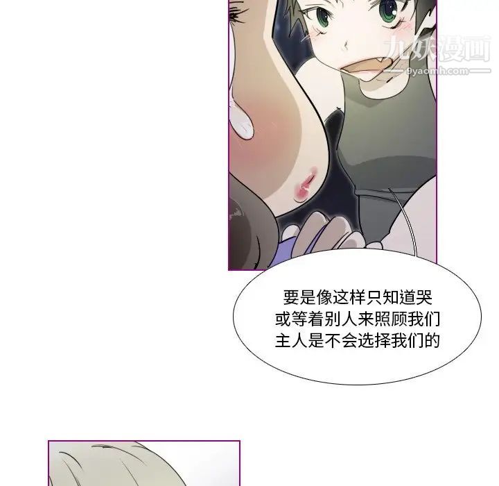 我的猫狗女友第14话