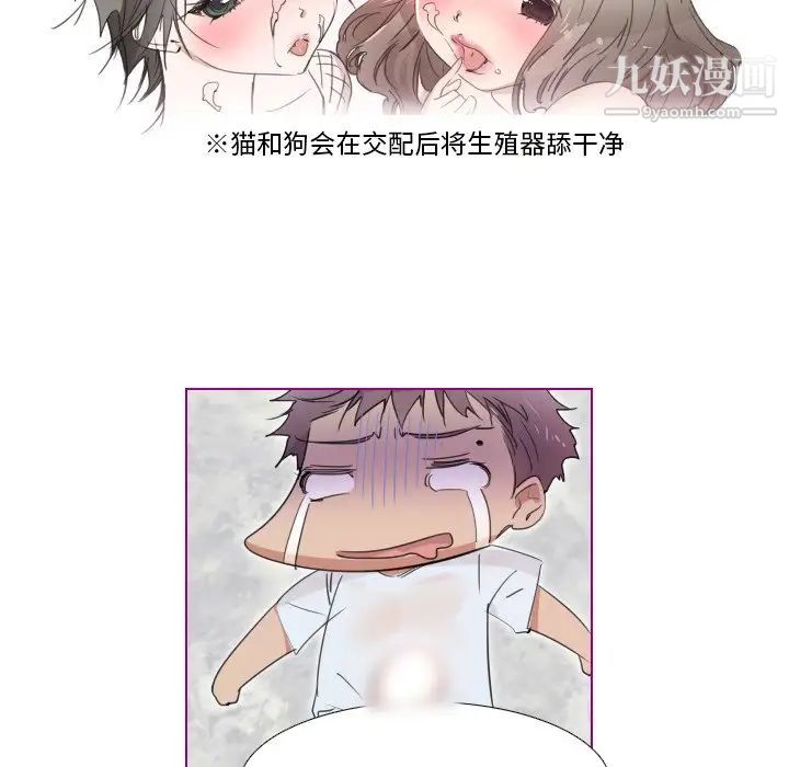 我的猫狗女友第16话-最终话(完结)