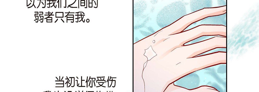 献给心脏第66话