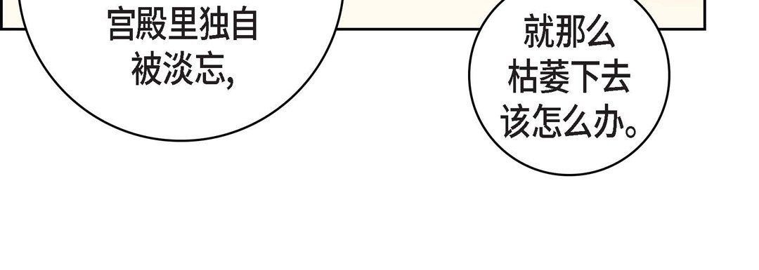 献给心脏第69话
