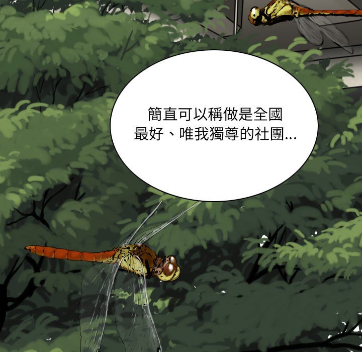 只爱那女人第5章