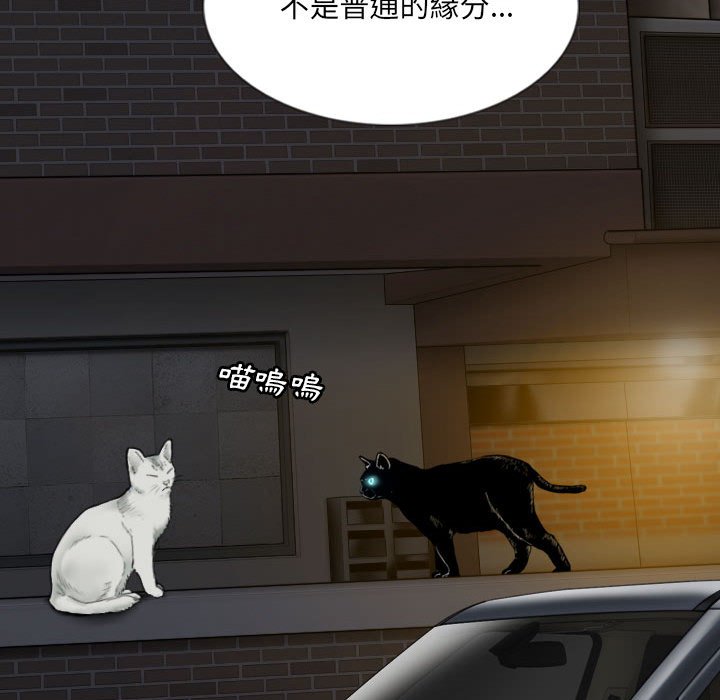 只爱那女人第6章