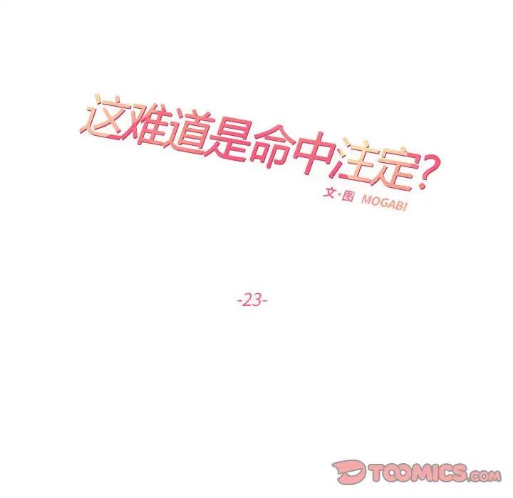这难道是命中注定第23話